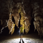 サマール島熱帯雨林に眠る野生 サマール島熱帯雨林に眠る野生